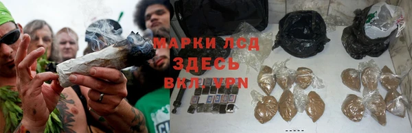 PSILOCYBIN Армянск