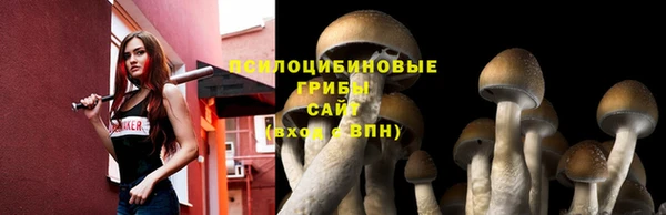 mix Арсеньев