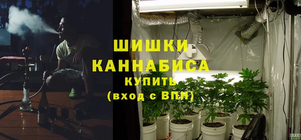 PSILOCYBIN Армянск
