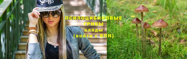 каннабис Баксан
