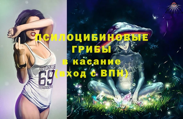 стафф Аркадак
